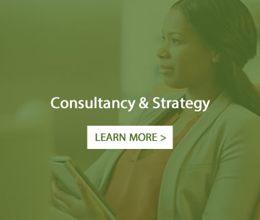 Consultancy & Strategy Procurement 2.2